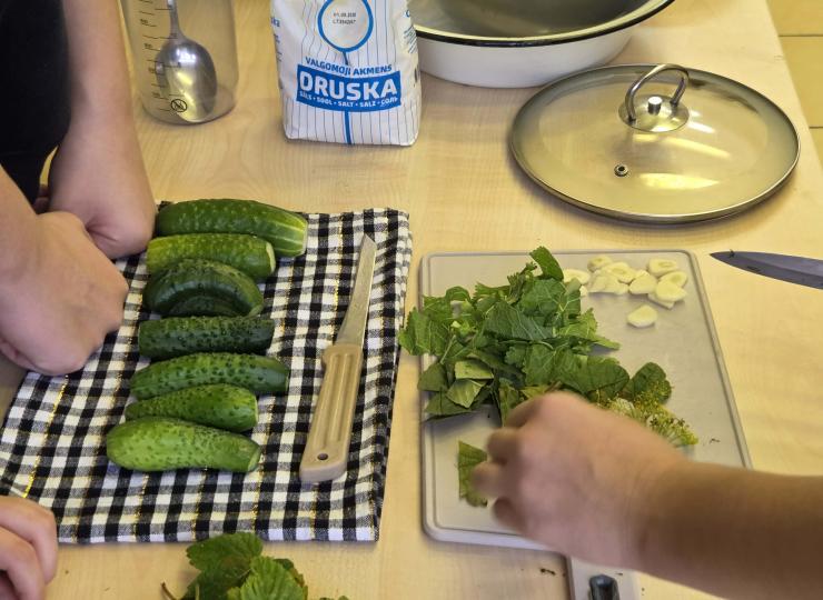 Sveikos mitybos pamokos Vievio gimnazijoje
