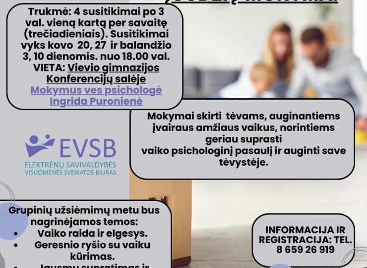 Efektyvios tėvystės mokymai (Vievis)