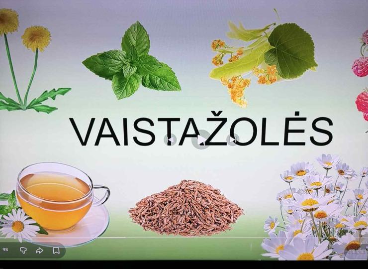 Kelionė po vaistažolių pasaulį Vievio lopšelyje-darželyje „Eglutė“
