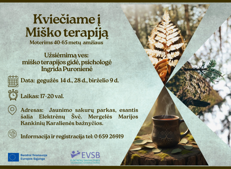 Miško terapijos užsiėmimai