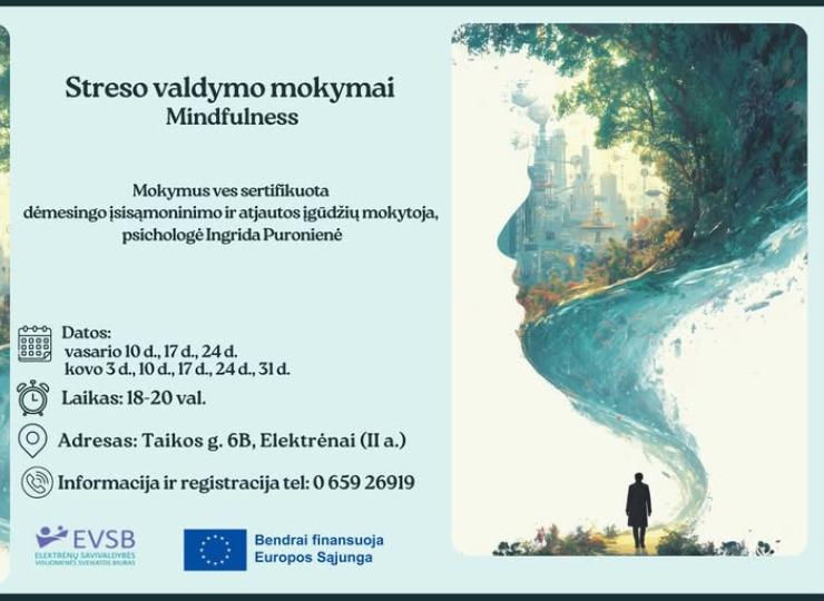 Streso valdymo mokymai